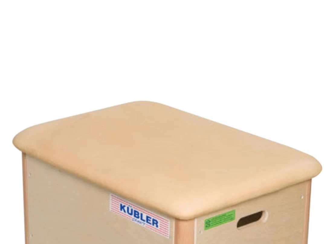 Sprungkastendeckel Aus Leder 70 X 50 Cm 1 Sprungkastendeckel Aus Leder 70 X 50 Cm