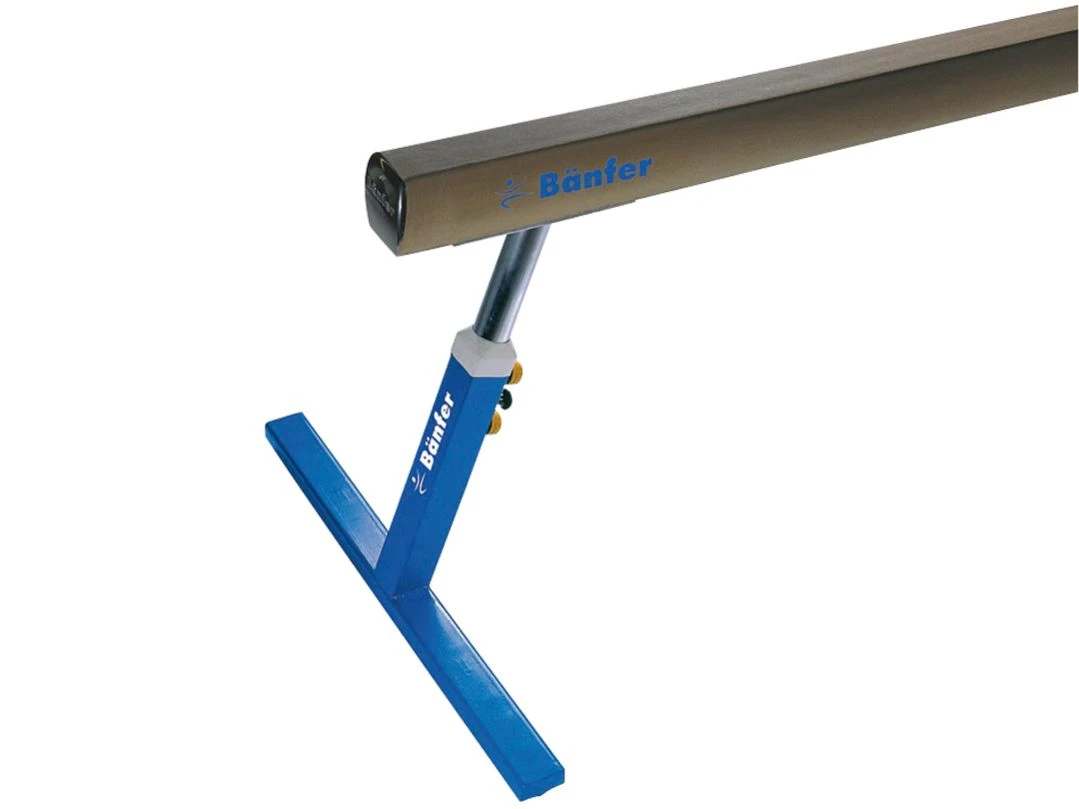 Bänfer® Schwebebalken Exklusiv Microswing 1 Bänfer® Schwebebalken Exklusiv Microswing