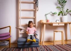 BenchK® Sprossenwand 111 Mit Klimmzugbügel, Seil Und Ringen -All Sport Verkauf K2352 A05 ecommerce