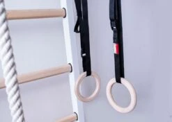 BenchK® Sprossenwand 521W Mit Klimmzugstange, Seil & Ringen -All Sport Verkauf K2381 A07 ecommerce