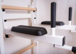 BenchK® Sprossenwand 523W Mit Komplettem Zubehör 13 BenchK® Sprossenwand 523W Mit Komplettem Zubehör -All Sport Verkauf K2383 A04 ecommerce