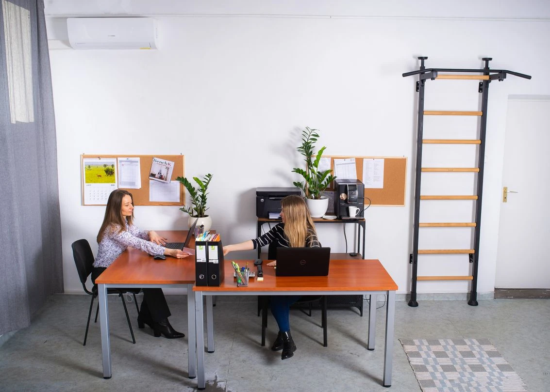 BenchK® Sprossenwand 521B Mit Klimmzugstange 2 BenchK® Sprossenwand 521B Mit Klimmzugstange – Bild 2