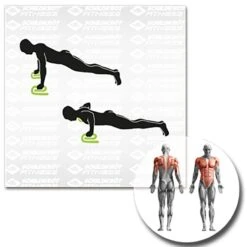 Schildkröt® Liegestützgriffe -All Sport Verkauf K5303 A06 ecommerce