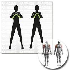 Schildkröt® Leg Trainer -All Sport Verkauf K5305 A10 ecommerce