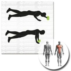 Schildkröt® Dual Core Wheels -All Sport Verkauf K5306 A05 ecommerce