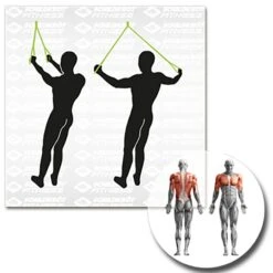 Schildkröt® Schlingentrainer -All Sport Verkauf K5308 A09 ecommerce