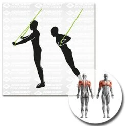 Schildkröt® Schlingentrainer -All Sport Verkauf K5308 A10 ecommerce