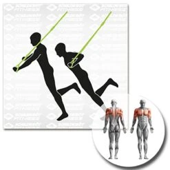 Schildkröt® Schlingentrainer -All Sport Verkauf K5308 A14 ecommerce