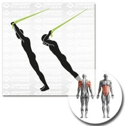 Schildkröt® Schlingentrainer -All Sport Verkauf K5308 A16 ecommerce