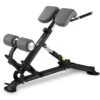 BH Fitness® Rückenstreckbank L805BB