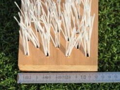 Polytan® Bürstenleiste Für ACS 120 Pflegegerät -All Sport Verkauf P5023 A02 ecommerce