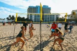 Hammer® CROSSNET Four Square Volleyball -All Sport Verkauf T1811 B03 ecommerce