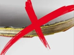 Donic-Schildkröt® Tischtennisschläger PROTECTION LINE S300 6 Donic-Schildkröt® Tischtennisschläger PROTECTION LINE S300 -All Sport Verkauf T49710 A02 ecommerce 1