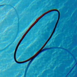 Tanga Sports® Tauchreifen